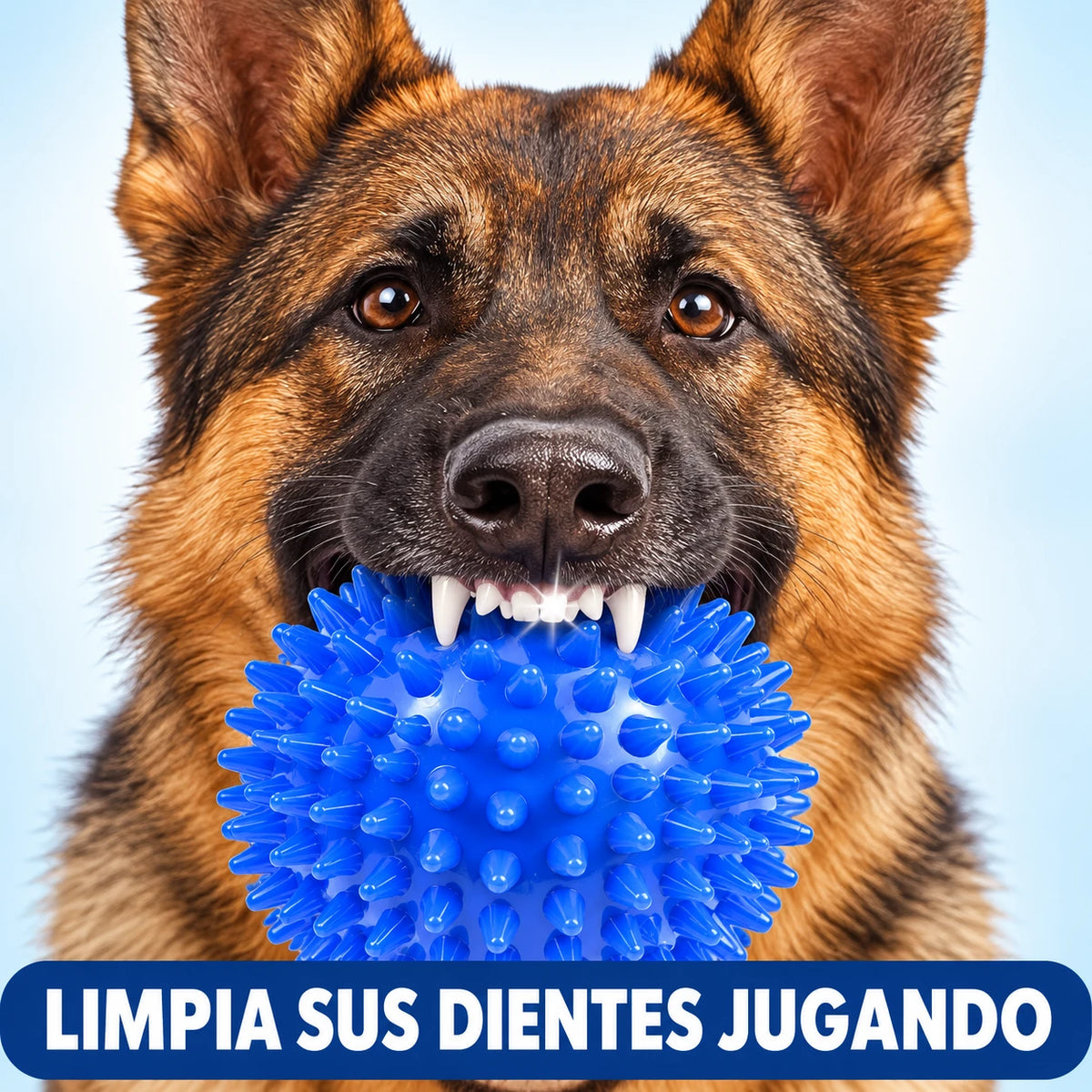 Pelota Dental para Perros: Ayuda a Reducir el Sarro y el Mal Aliento Mientras Juega