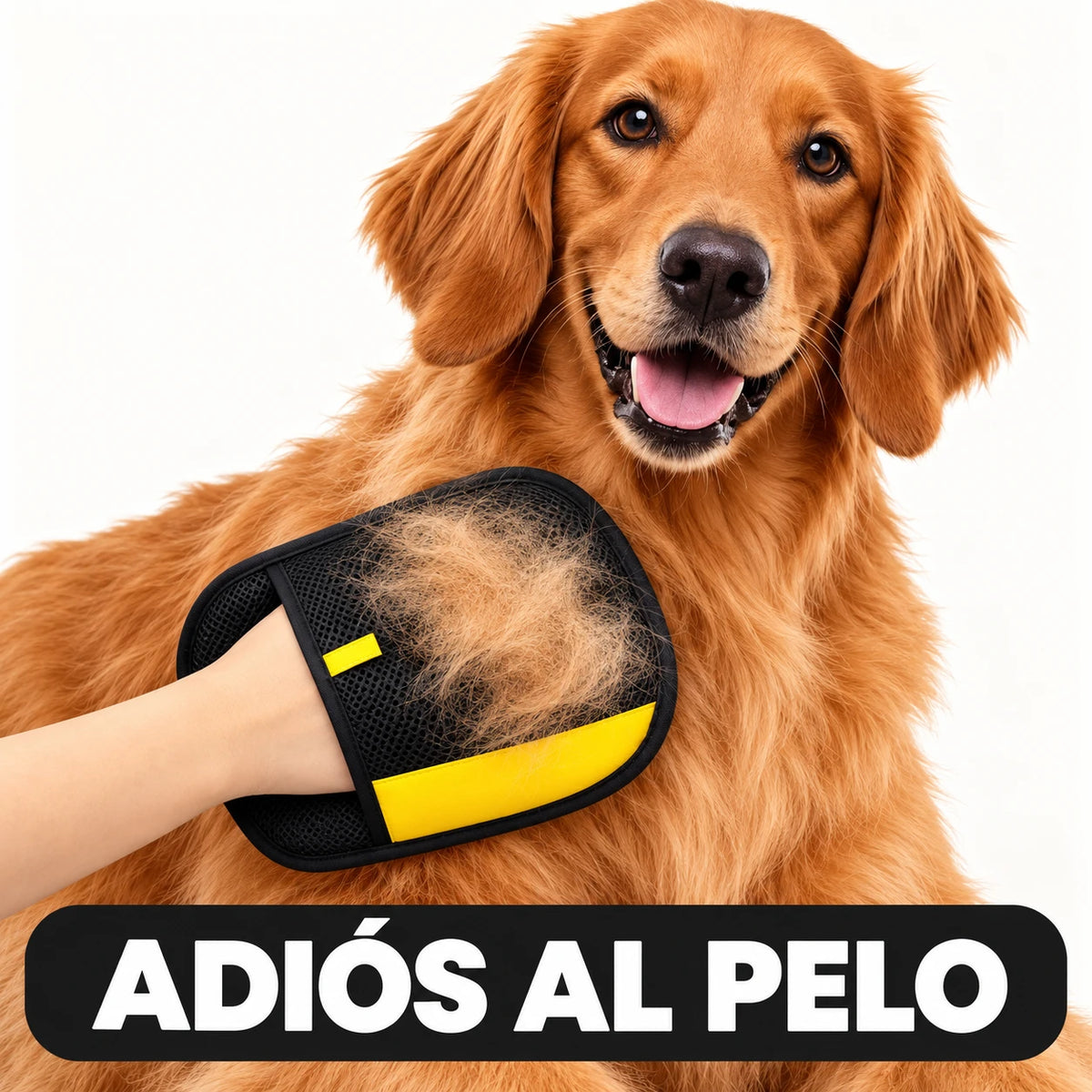 Quita el Pelo de tu Perro Antes de que Acabe en tu Sofá: Cepilla Acariciando