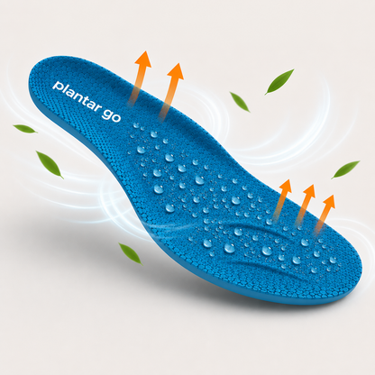 Plantillas Plantar Go!